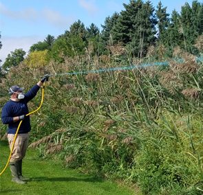 Invasive Vegetation Control